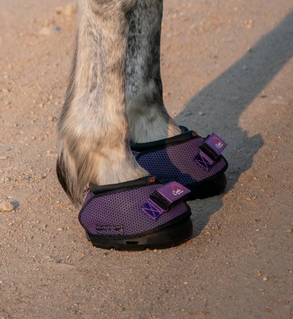 Cavallo PURPLE Trek Hoof Boots