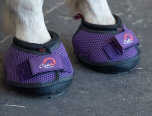 New Cavallo Purple Trek hoof boots