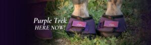 Cavallo Purple Trek Hoof Boots Here Now in stock!