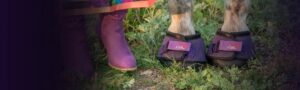 Cavallo Purple Trek horse hoof boots for shock absorption
