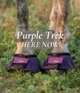 Cavallo Purple Trek Hoof Boots Here Now in stock! mobile slider