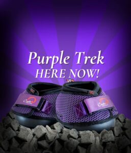 NEW Cavallo Purple trek Hoof Boots