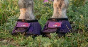 Cavallo Purple Trek horse Hoof Boots are now available!