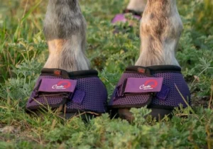 Cavallo Purple Trek Hoof Boots now available