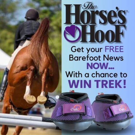 The Horse's Hoof Cavallo Purple Trek Hoof Boot Giveaway