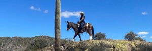 Cavallo Hoof Boots on desert terrain