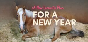 Your Cavallo Hoof Boots Laminitis Plan