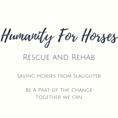 Humanity for Horses Rescue