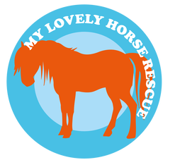 My Lovely Horse Rescue Ireland Logo