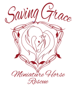 Saving Grace Mini Horse Rescue logo