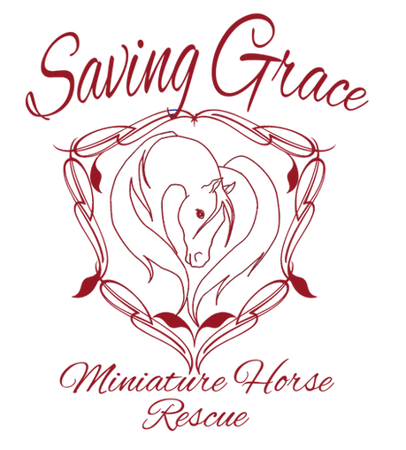 Saving Grace Mini Horse Rescue logo