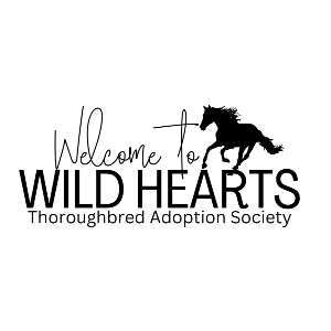 Wild Hearts Thoroughbred Adoption Society