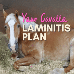 Cavallo Hoof Boots Laminitis Plan