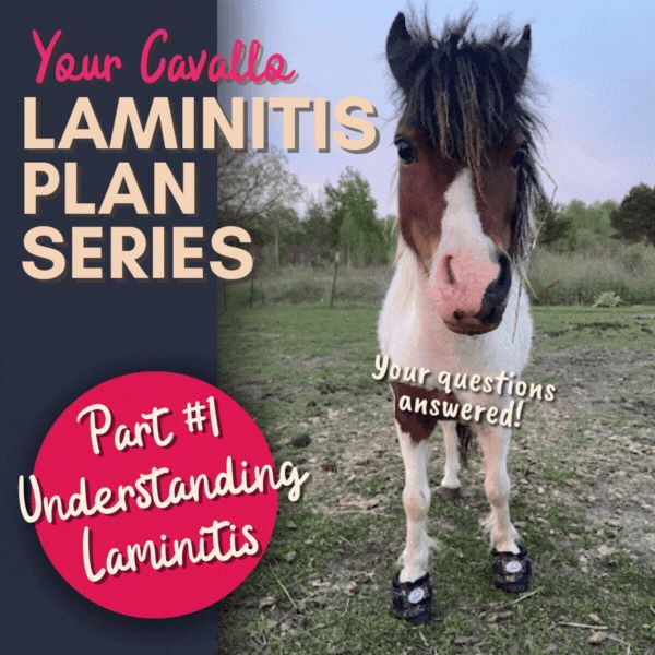 Cavallo Laminitis Series Blog #1 of 3