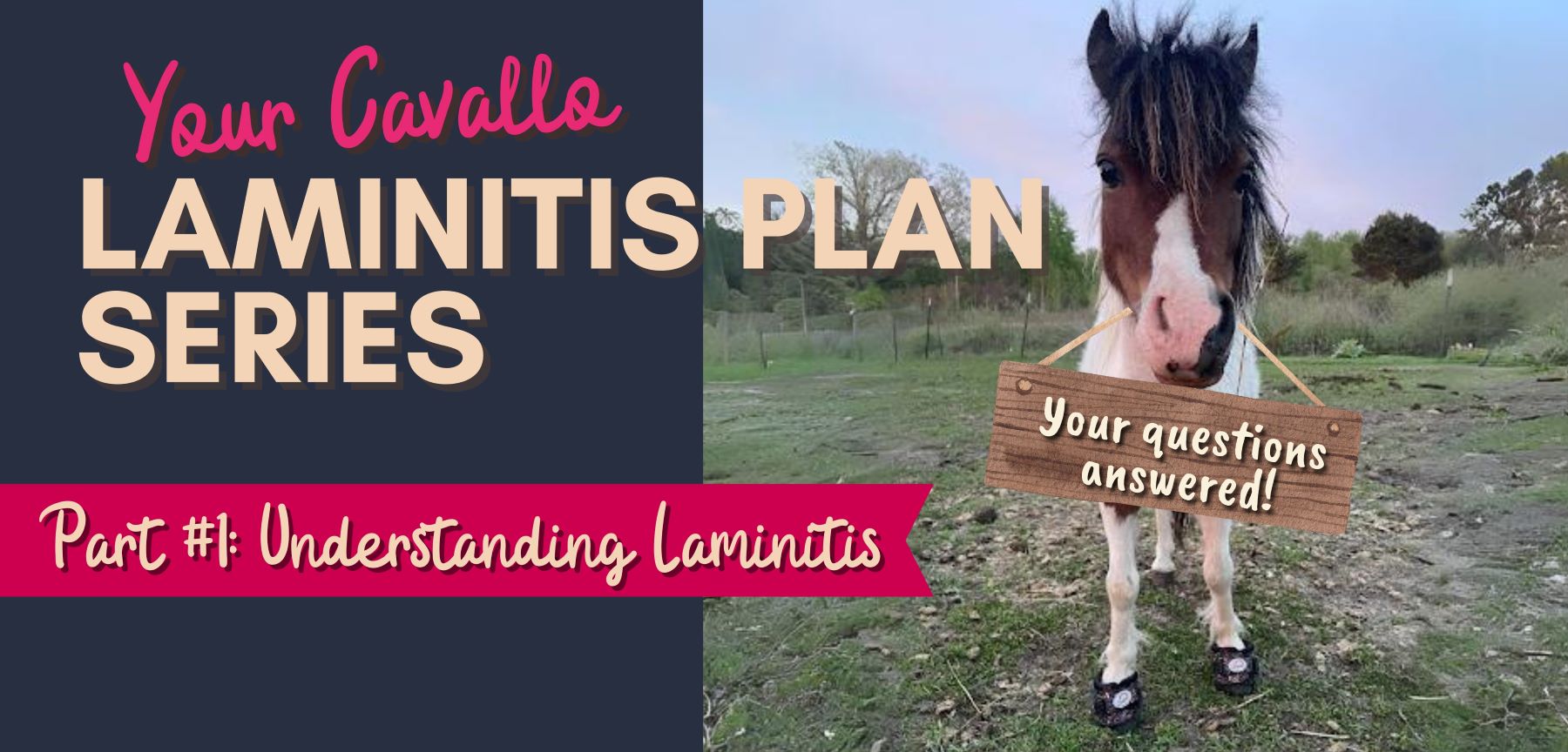 Cavallo Hoof Boots Laminitis Plan Series #1