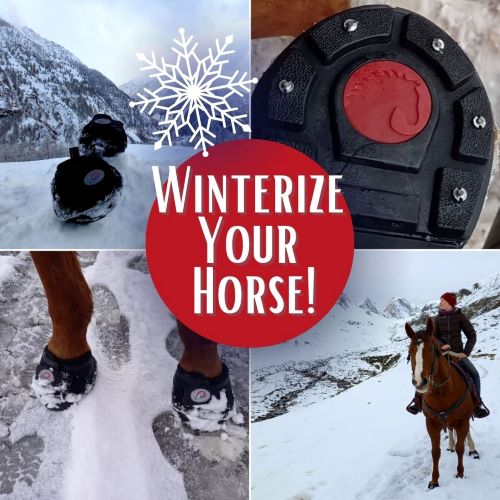Winterize Your Horse with Cavallo Hoof Boots and Studs