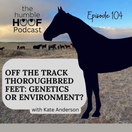 The Humble Hoof Podcast about Thoroughbred hooves - Episode 104