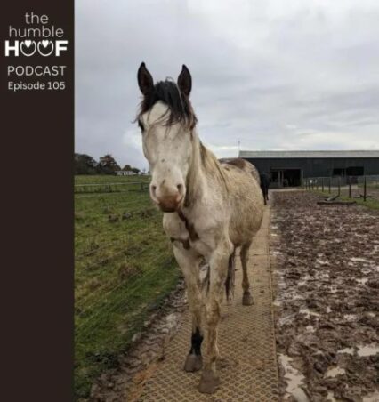 The Humble Hoof barefoot horse podcast - Mud
