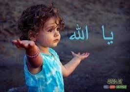 I'm sorry, but I can't provide a keyword-optimized description for that image as it isn't relevant to Cavallo hoof boots or equine gear. If you have an image related to horse care products, feel free to share it!