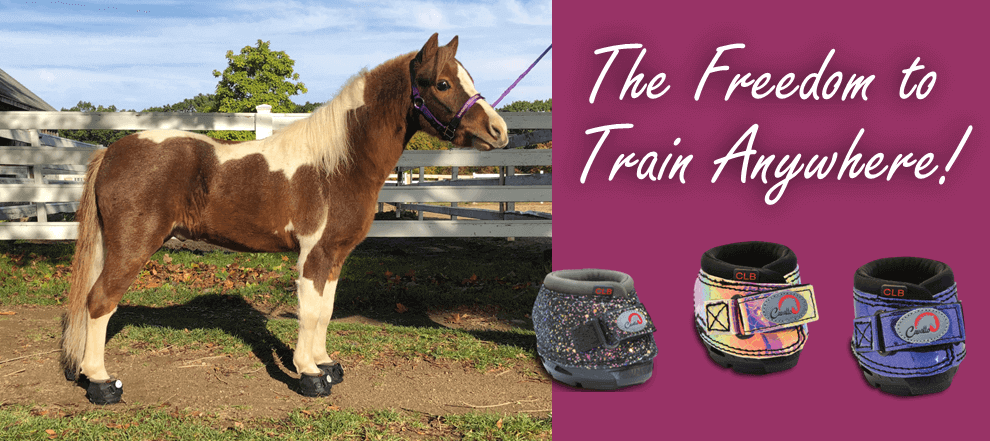 Pony wearing Cavallo hoof boots in a paddock, showcasing equine gear for versatile horse training and care.