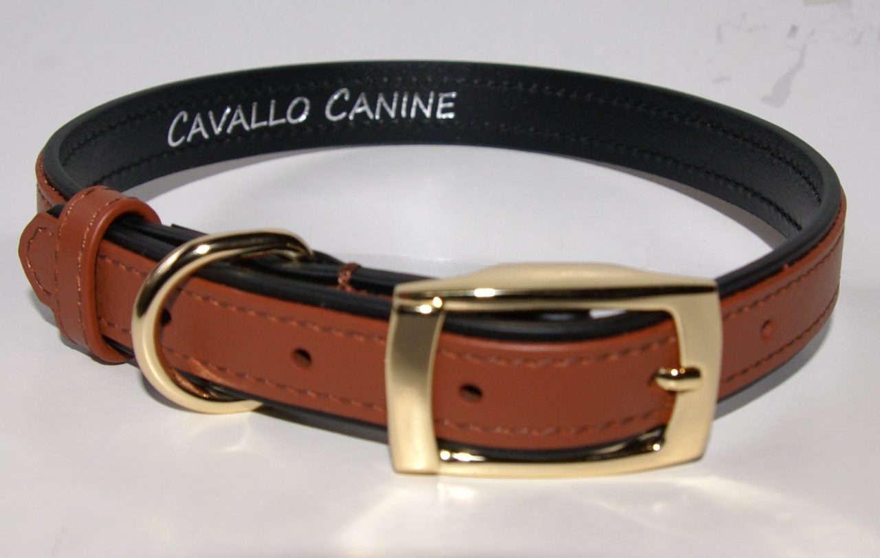 Brown leather dog collar with gold buckle; Cavallo canine accessory.