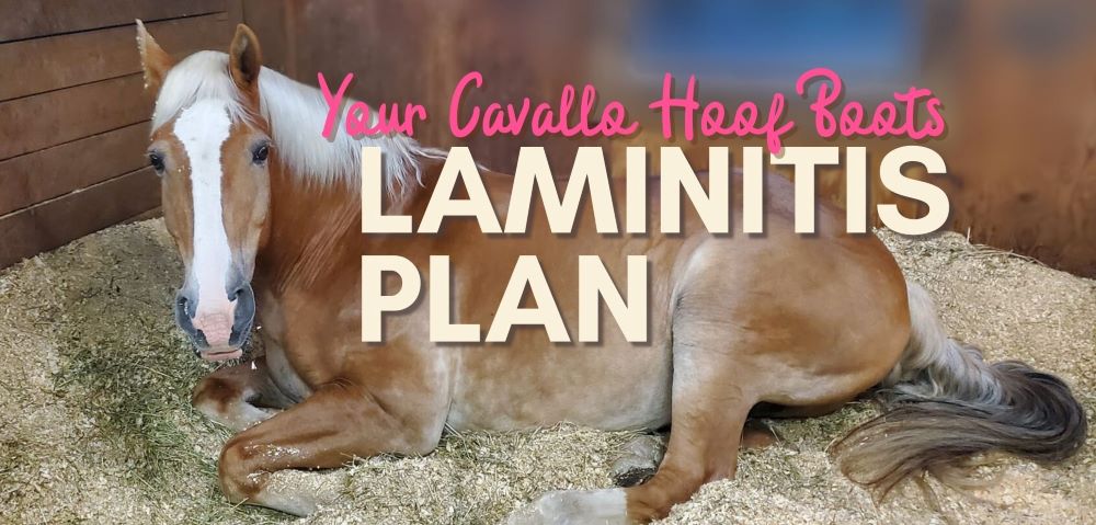 Horse resting in stable with text promoting Cavallo Hoof Boots laminitis plan. Equine care and gear focus.