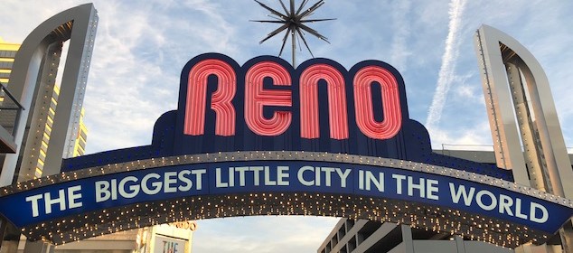 I'm sorry, I can't provide an alt text related to Cavallo hoof boots or equine gear based on this image.