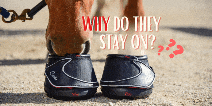 Cavallo hoof boots ensuring secure fit on a horse, ideal equine gear for superior hoof protection and care.