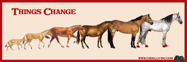 Evolution of horses to modern equine with Cavallo hoof boots, highlighting changes in horse care gear.