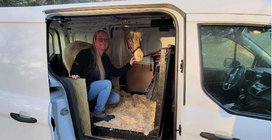 Person with pony in van, illustrating Cavallo hoof boots' convenience for equine travel and care.