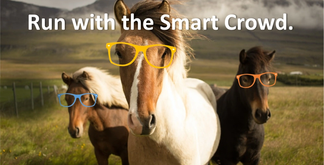 Horses with colorful glasses in a field, promoting Cavallo hoof boots and smart equine gear for optimal horse care.