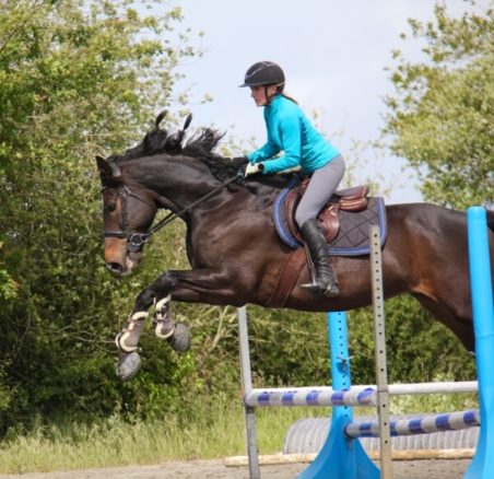 Equestrian jumps with horse wearing Cavallo hoof boots, showcasing equine gear and horse care essentials.