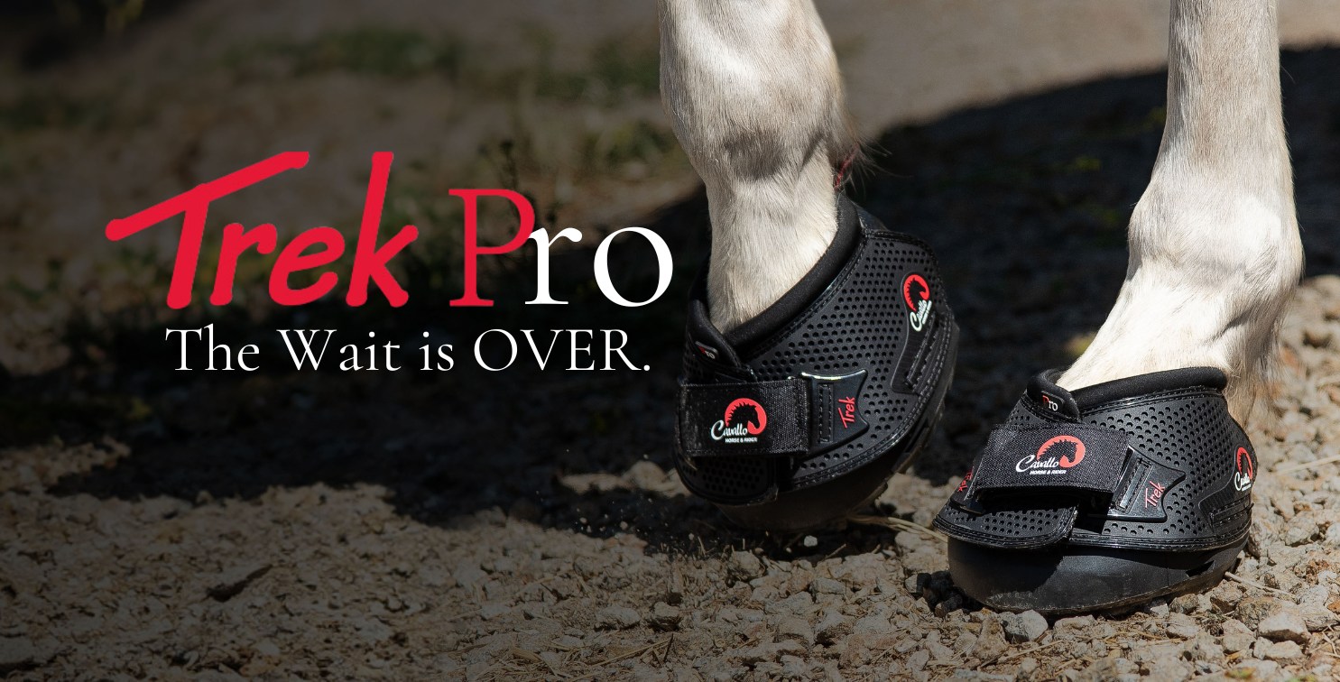 Horse wearing Cavallo Trek Pro hoof boots on rocky path, durable equine gear for hoof protection and comfort.