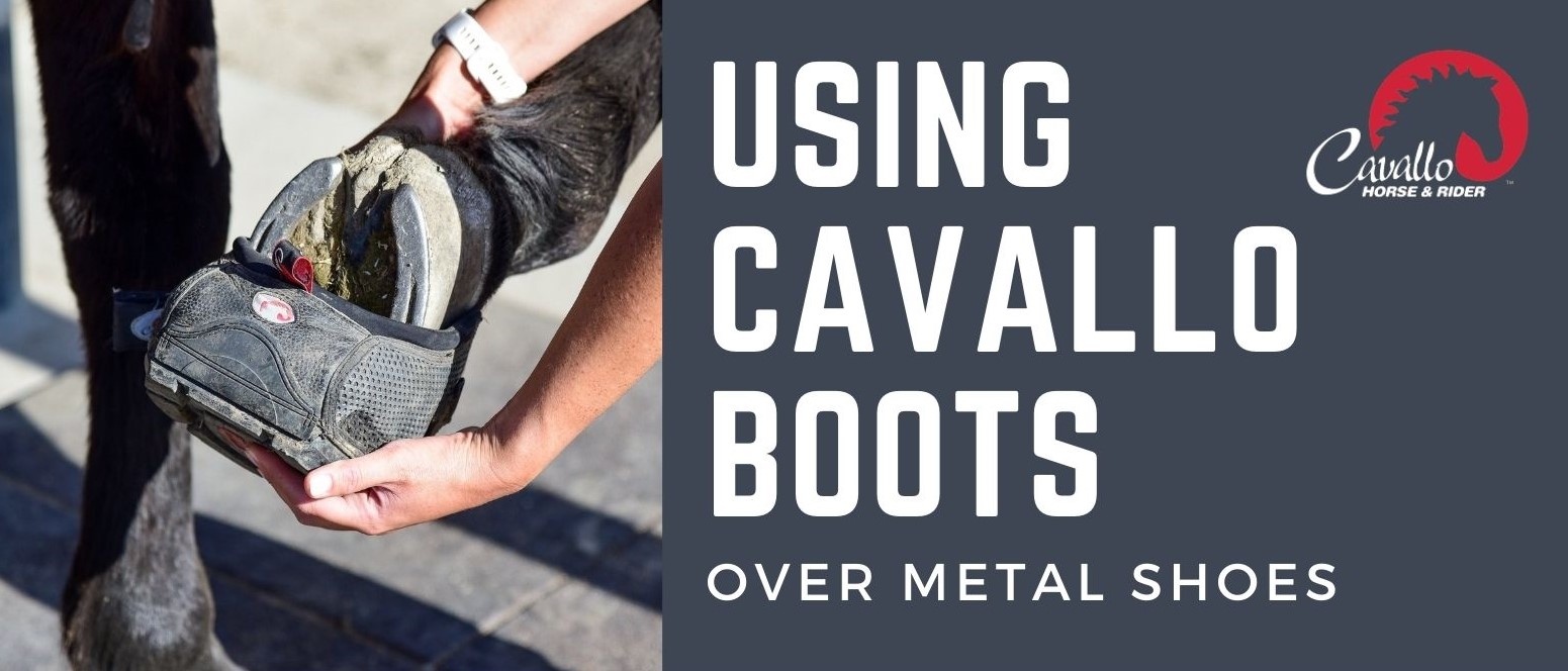 Hands fitting Cavallo hoof boots on a horse, enhancing equine care by replacing traditional metal shoes.