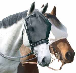 Two horses wearing protective fly masks, essential equine gear for comfort and care.