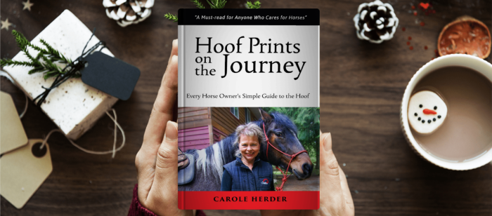 Book on hoof care for horses, featuring Cavallo hoof boots insights. Perfect for equine enthusiasts and horse gear lovers.