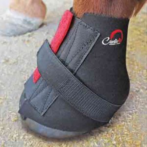 Cavallo hoof boot on horse hoof, providing protection and support. Ideal equine gear for horse care and comfort.