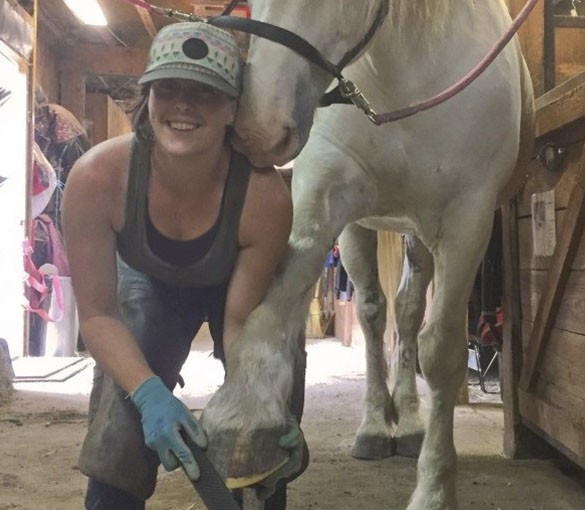 Equestrian care specialist fits horse with Cavallo hoof boots in stable environment for optimal hoof protection.