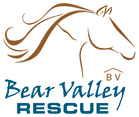 Bear Valley Rescue
