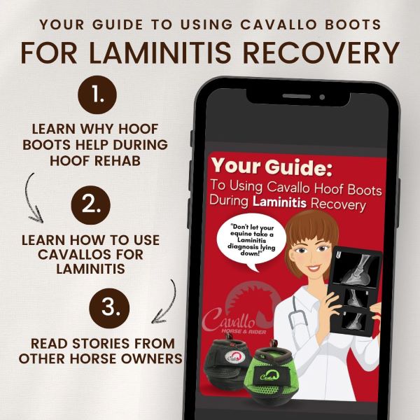 Guide to using Cavallo hoof boots for laminitis recovery, featuring tips and owner stories for optimal equine care.