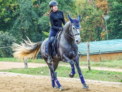 Rider showcasing Cavallo hoof boots on elegant horse, enhancing equine performance and comfort in outdoor arena.