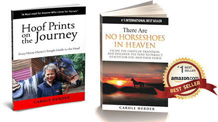 Discover Cavallo hoof boots insights with Carole Herder's equine care books, 'Hoof Prints' & 'No Horseshoes in Heaven'.