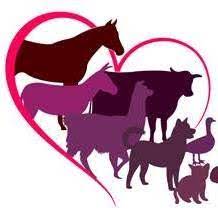 noble island Ranch & Rescue