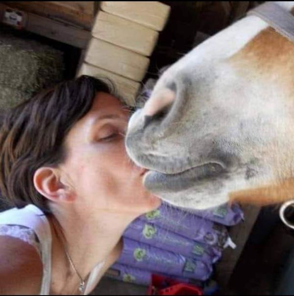 Shut the Door Farm Rescue