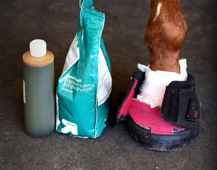 Horse wearing Cavallo hoof boot, alongside Epsom salts and liquid treatment for hoof care.