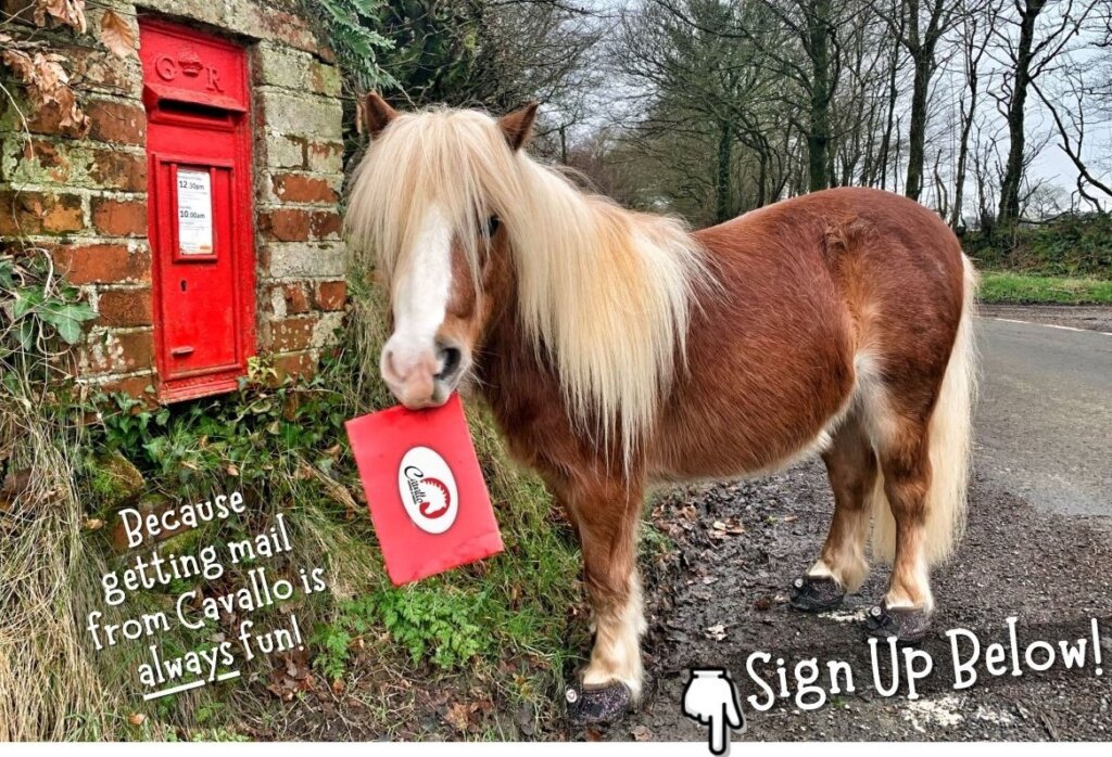 Pony holding Cavallo mail, wearing Cavallo hoof boots, standing by a red mailbox. Perfect for equine gear lovers.