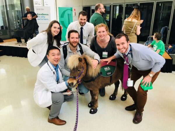 Group with miniature horse sporting Cavallo hoof boots, showcasing equine gear at event.