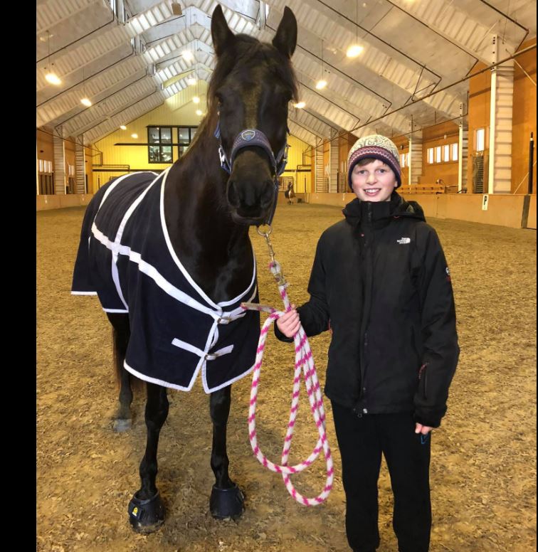 Horse with Cavallo hoof boots, wearing a rug, standing in an indoor arena with person holding reins.