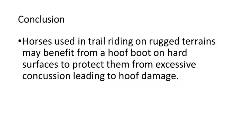 Western Kentucky university Cavallo Hoof Boot study results