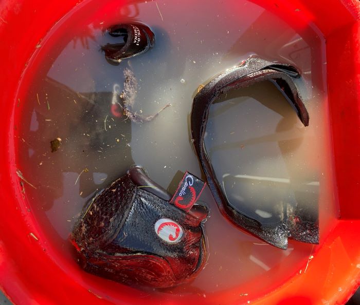 Cavallo hoof boots soaking in water, equine gear maintenance for optimal horse care and longevity.